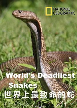 世界上最致命的蛇
